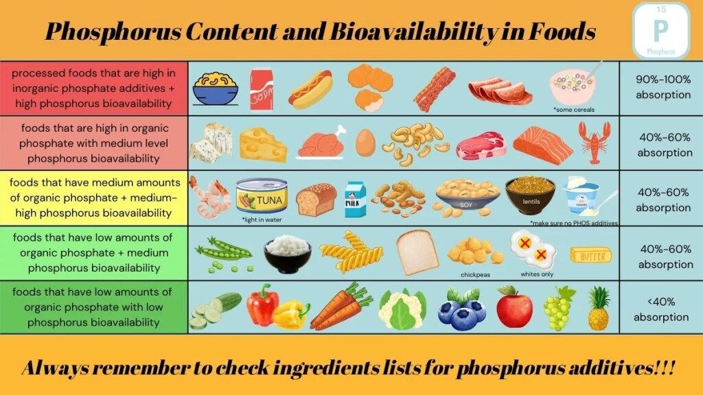 Phosphorus Foods and CKD - Kidney Nutrition
